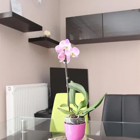 Dorina Wellness In By Interhome * Siófok